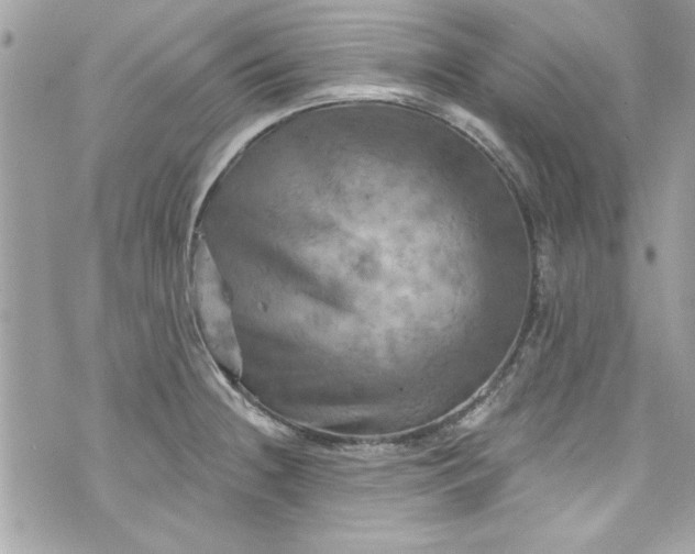 X0000075831236200609291414