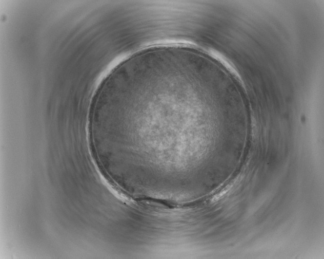 X0000075831237200609291414