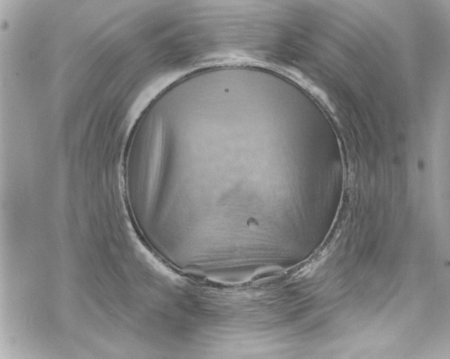 X0000075831239200609291414