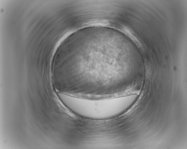 X0000075831240200609291414