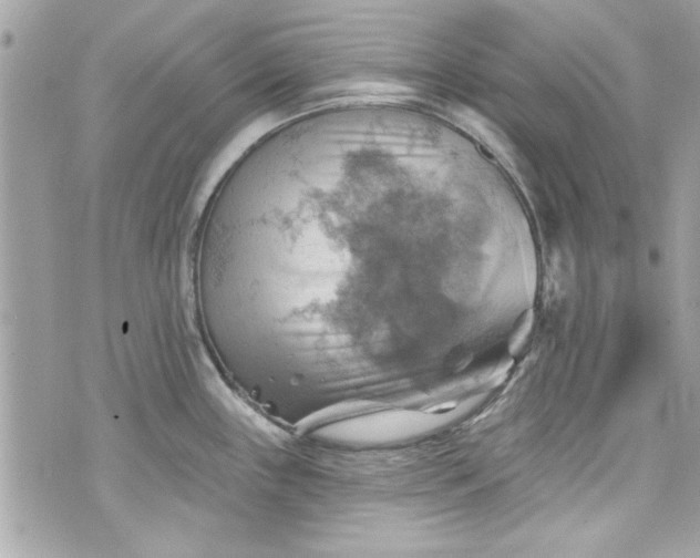 X0000075831243200609291414