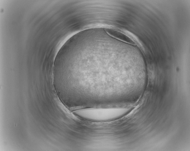 X0000075831244200609291414