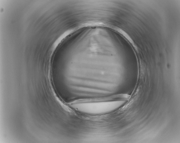 X0000075831245200609291414