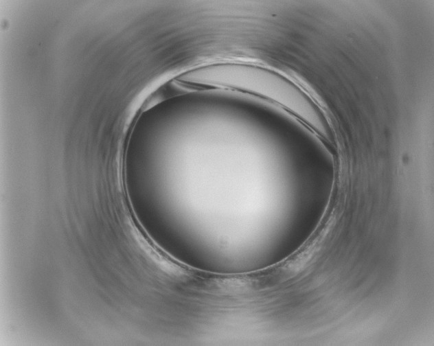 X0000075831246200609291414