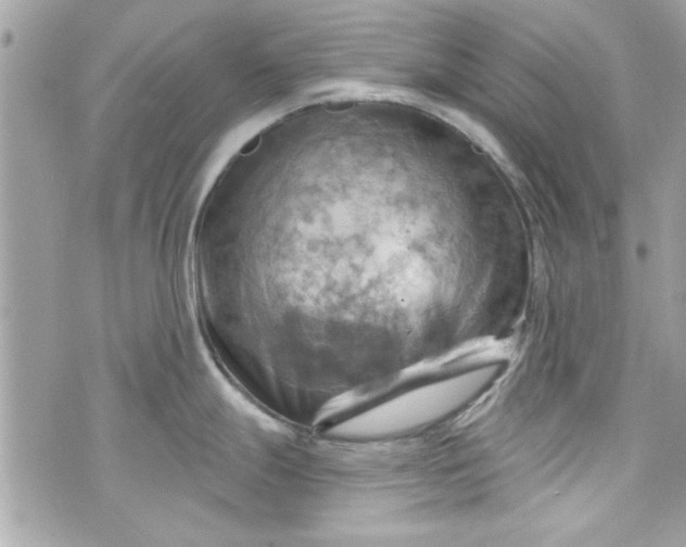 X0000075831247200609291414