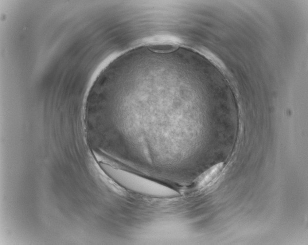 X0000075831248200609291414