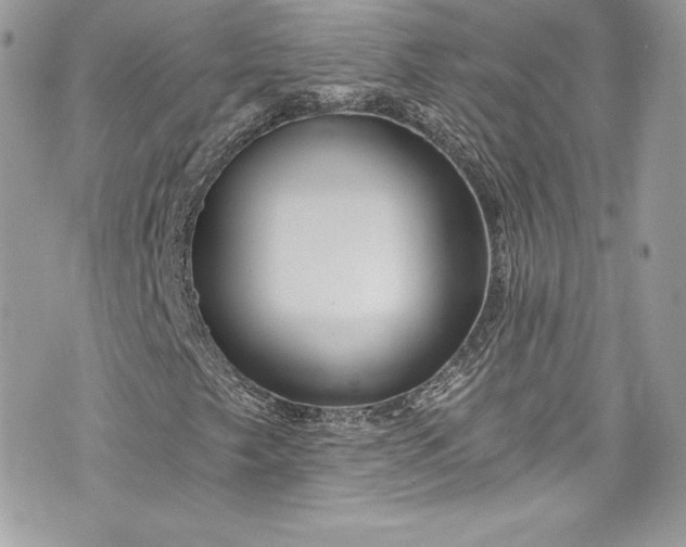 X0000075831249200609291413