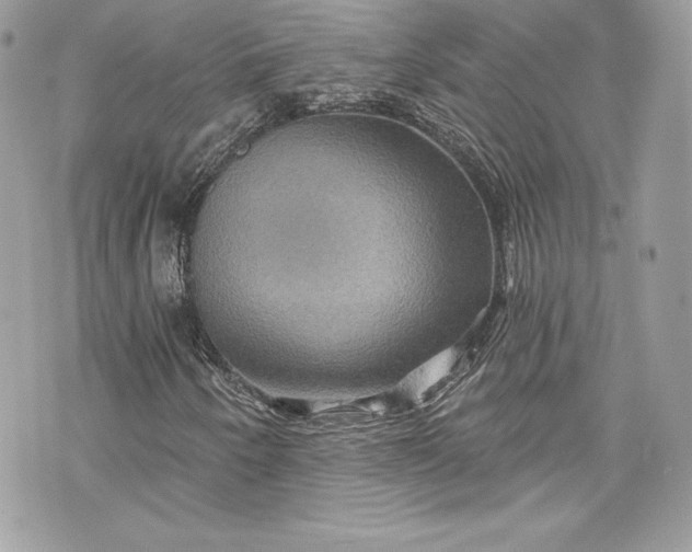 X0000075831250200609291413