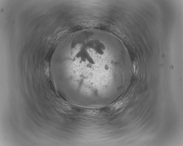 X0000075831251200609291413