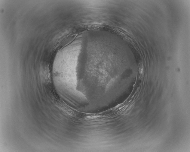 X0000075831252200609291413