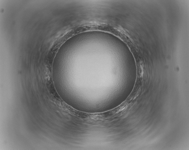 X0000075831253200609291413