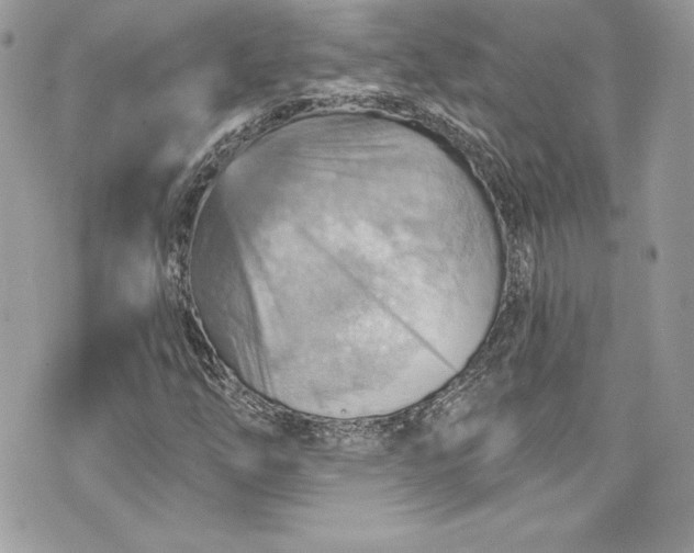 X0000075831254200609291413