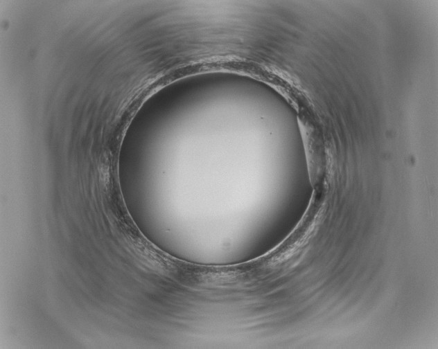 X0000075831257200609291413