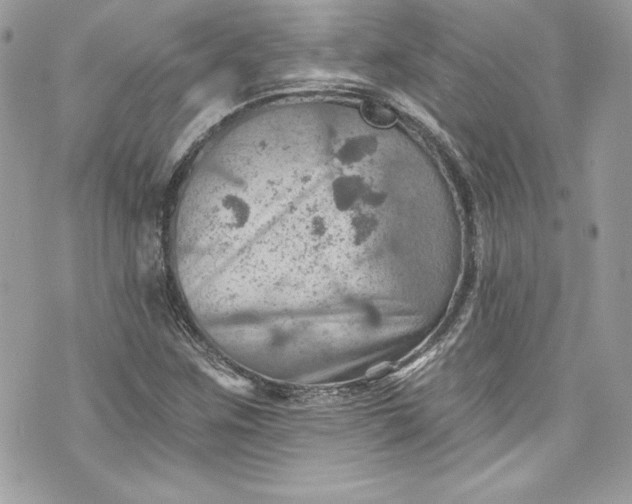 X0000075831259200609291413