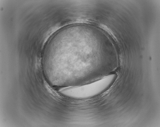 X0000075831260200609291413