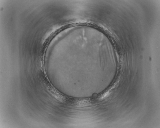 X0000075831262200609291413