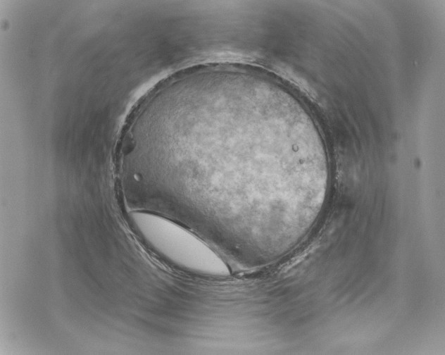 X0000075831264200609291413