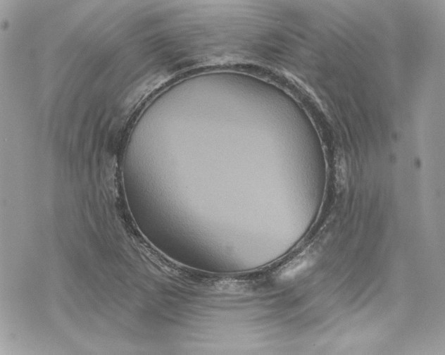 X0000075831265200609291413