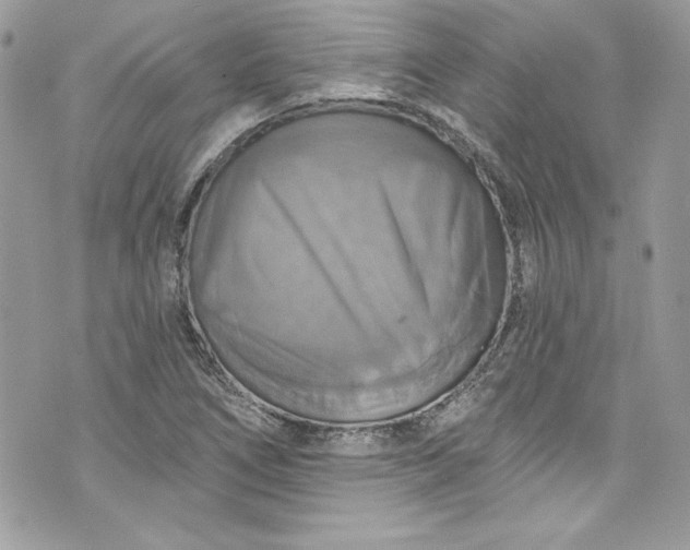 X0000075831266200609291413