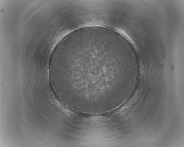 X0000075831268200609291413