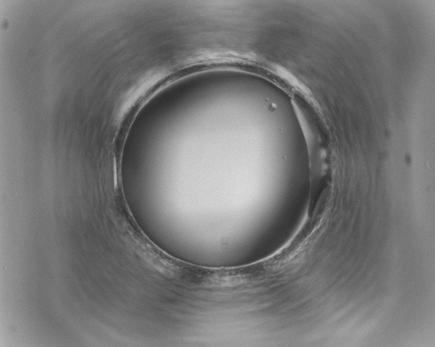 X0000075831269200609291413