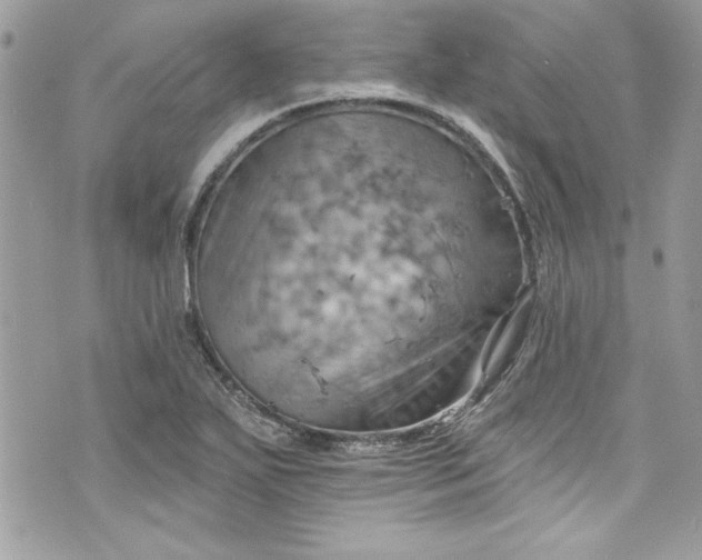 X0000075831271200609291413