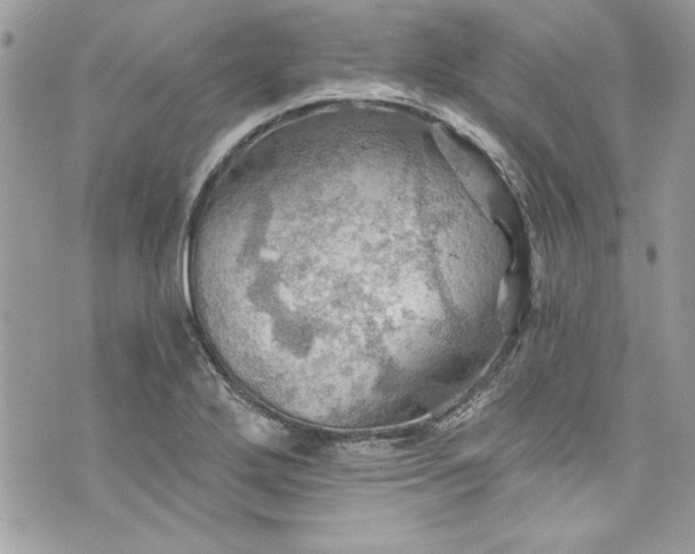 X0000075831272200609291413