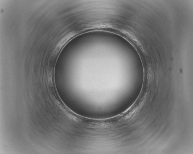 X0000075831273200609291413