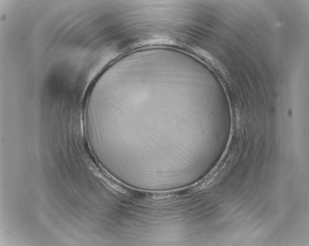 X0000075831274200609291413