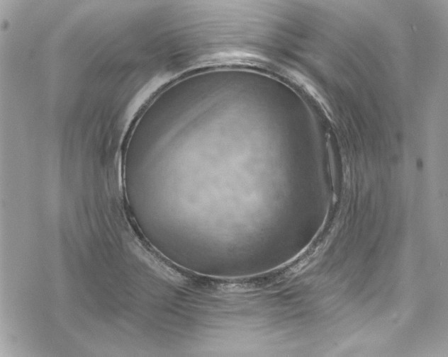 X0000075831275200609291413