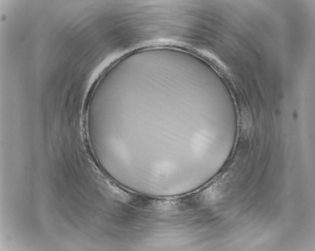 X0000075831278200609291413