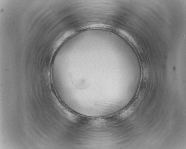 X0000075831282200609291412