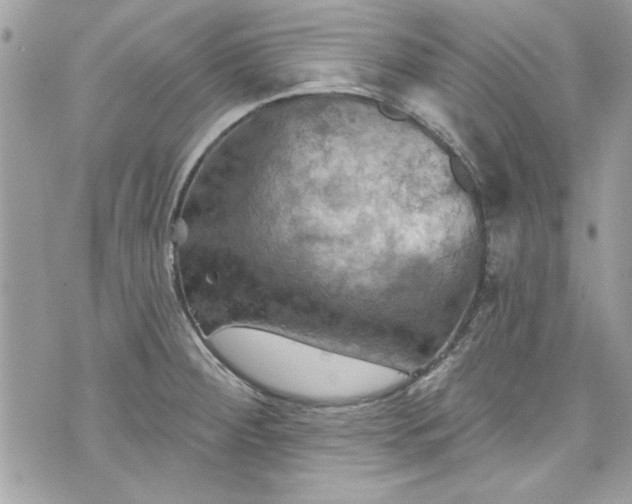 X0000075831284200609291412