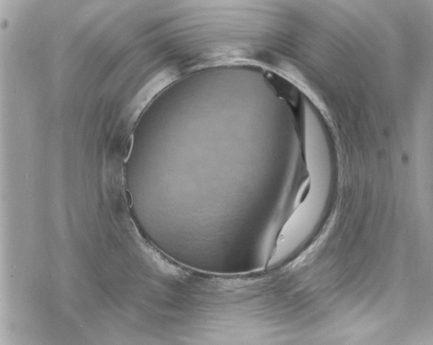 X0000075831289200609291412