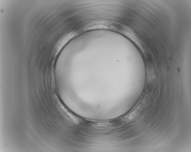 X0000075831290200609291412