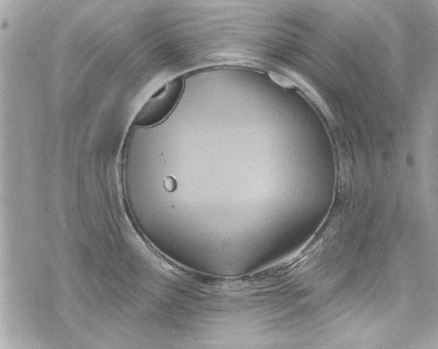 X0000075831291200609291412