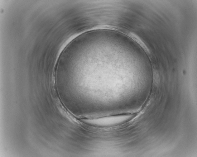 X0000075831292200609291412