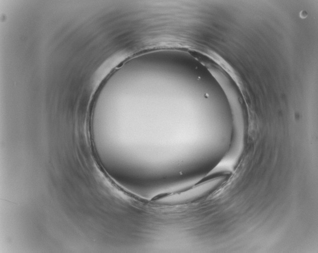 X0000075831293200609291412