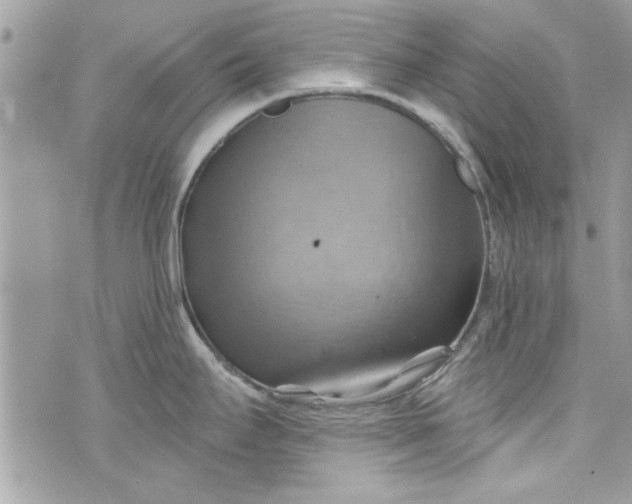 X0000075831295200609291412