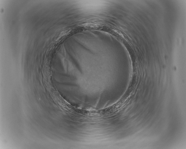 X0000075831297200609291411