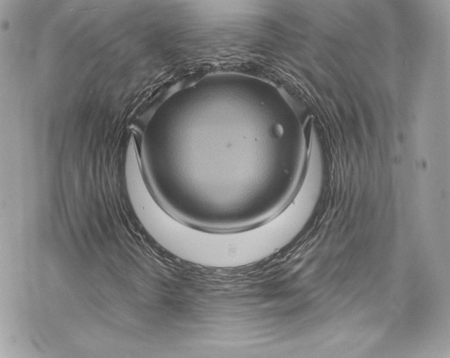 X0000075831298200609291411