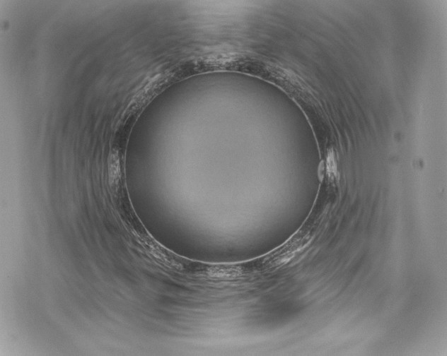 X0000075831299200609291412