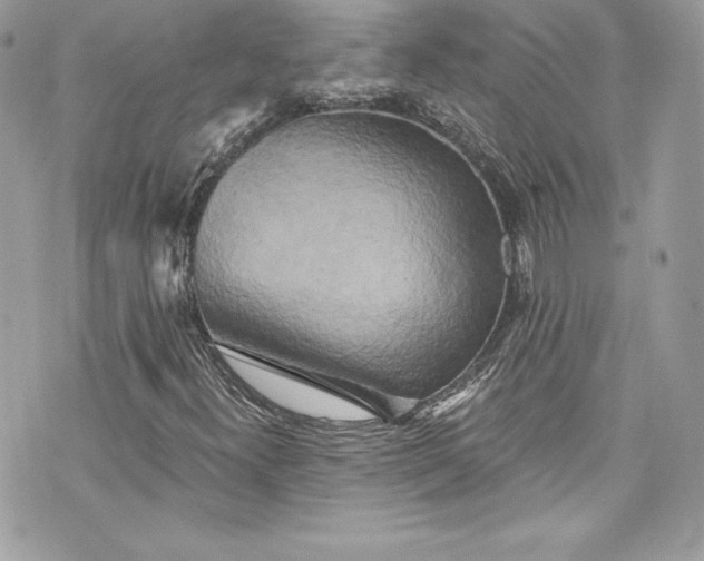 X0000075831300200609291412