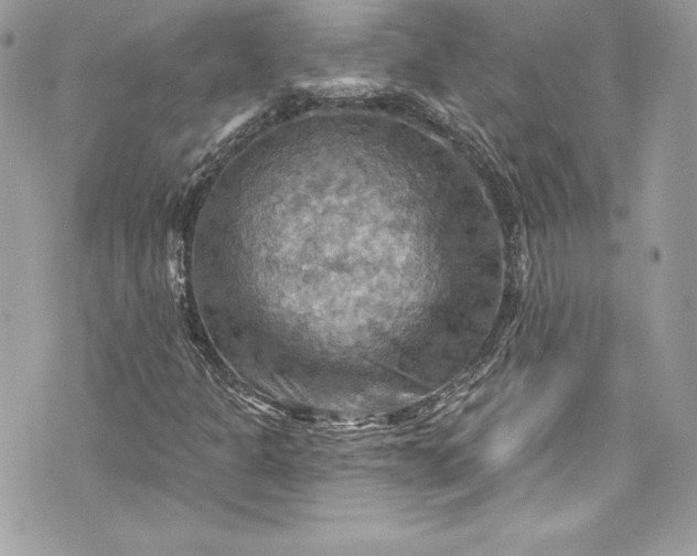 X0000075831301200609291412