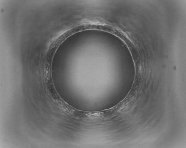 X0000075831303200609291412