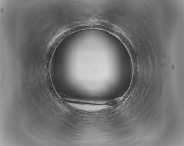 X0000075831304200609291412