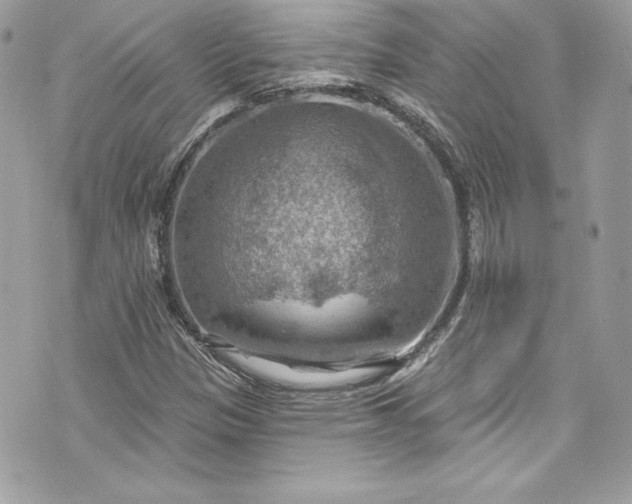 X0000075831305200609291412