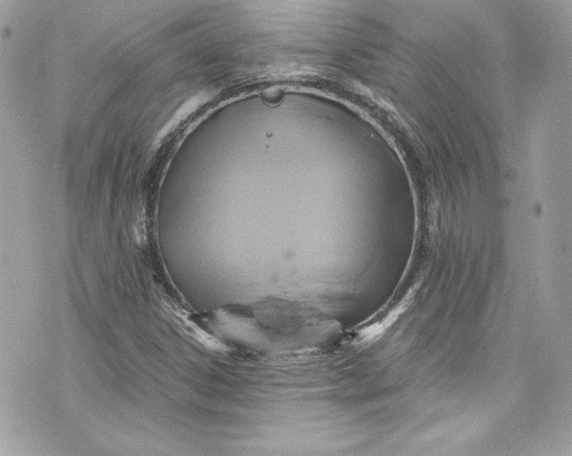 X0000075831306200609291412