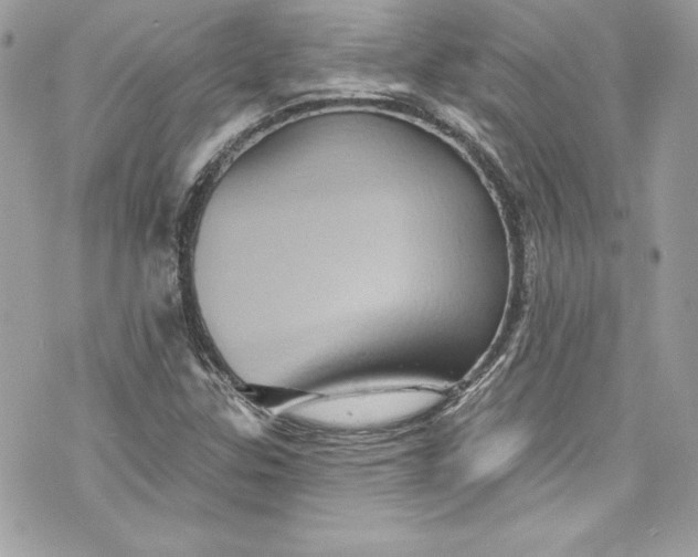 X0000075831307200609291412