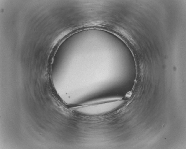 X0000075831308200609291412